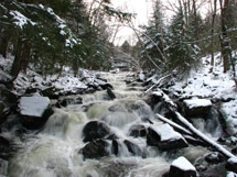 Track and Tower Trail in Algonquin Park