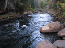 Whiskey Rapids Trail in Algonquin Park