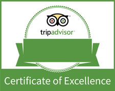 TripAdvisor Certificate of Excellence Winner