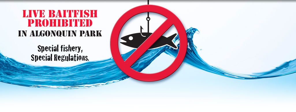 Special Fishery, Special Regulations