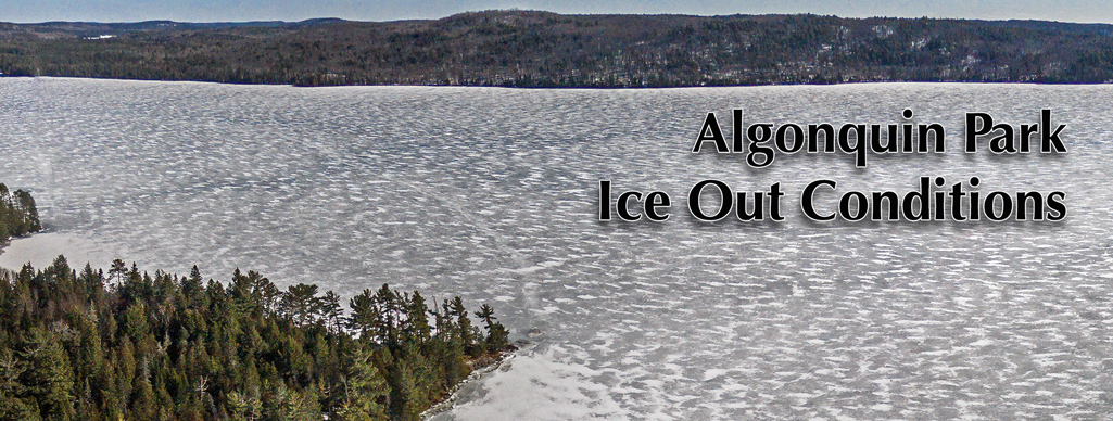 Ice Out in Algonquin Park