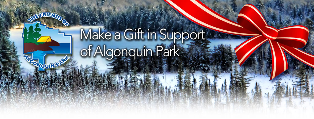 Make a Gift in Support of Algonquin Park