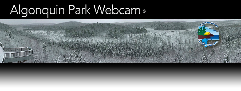 Algonquin Park Webcam - Live Video From Algonquin Park