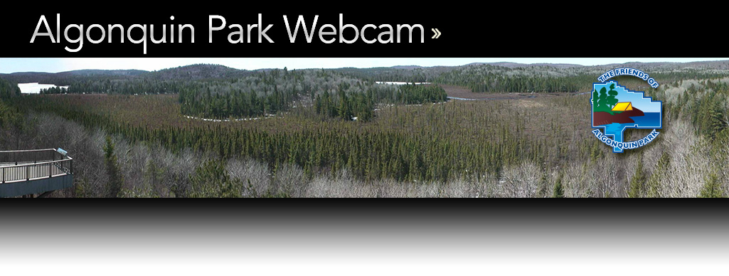 Algonquin Park Webcam - Live Video From Algonquin Park