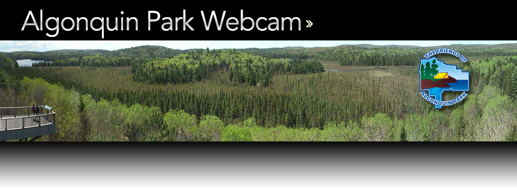 Algonquin Park Webcam - Live Video From Algonquin Park